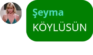 🇯🇴 emoji Şeymas kang pack Telegram sticker 17 of 47