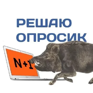 Sticker from кабан из потуси