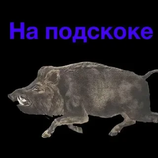 Sticker from кабан из потуси