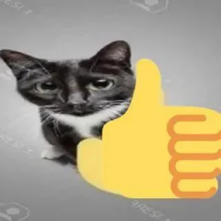 👍 emoji 🍔 Telegram sticker 8 of 88