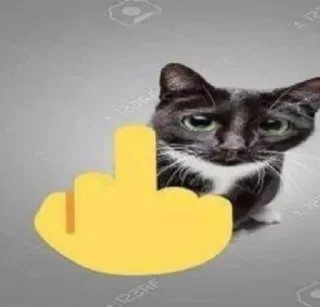 🖕 emoji 🍔 Telegram sticker 7 of 88