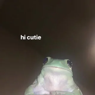 Sticker from -Frog🐸 [@BIueDaisy]