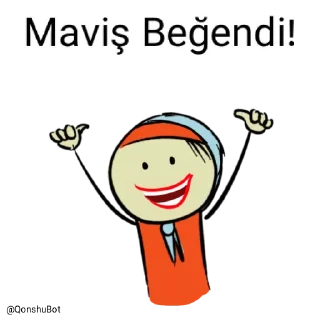 👍 emoji Maviş @Qonshubot Telegram sticker 20 of 31