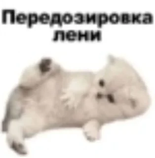Sticker from Заебали уже все просто
