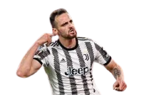 😺 emoji Juventus Planet Telegram sticker 18 of 18