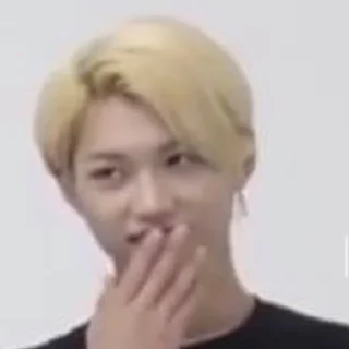 🤭 emoji skz Telegram sticker 13 of 50