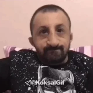 Sticker from Meme everywhere