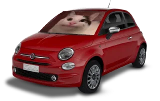 Sticker from Pufferfiat
