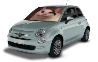 Sticker from Pufferfiat