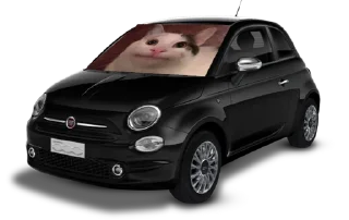 Sticker from Pufferfiat