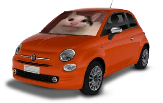 Sticker from Pufferfiat