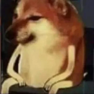🐶 emoji Dogs meme | @longroadtohell Telegram sticker 5 of 115
