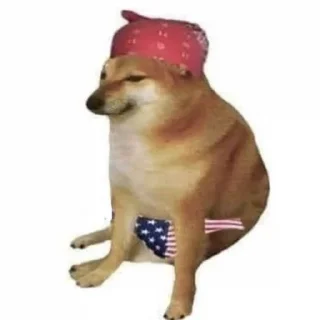 🐶 emoji Dogs meme | @longroadtohell Telegram sticker 23 of 115