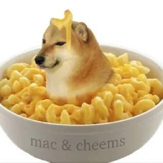 🐶 emoji Dogs meme | @longroadtohell Telegram sticker 22 of 115