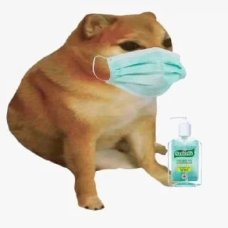 🐶 emoji Dogs meme | @longroadtohell Telegram sticker 24 of 115