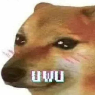 🐶 emoji Dogs meme | @longroadtohell Telegram sticker 9 of 115
