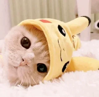 Sticker from CAT @English_World_Chatting