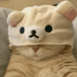 🐾 emoji CAT @English_World_Chatting Telegram sticker 20 of 41