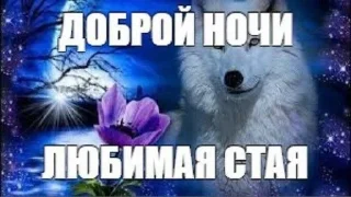 Sticker from Фо Хорни Волк любимый