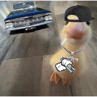 🤗 emoji DumbAss Duck🦆 Telegram sticker 16 of 51