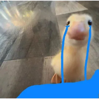 💐 emoji DumbAss Duck🦆 Telegram sticker 8 of 51
