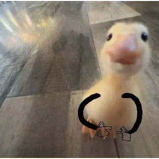 🍀 emoji DumbAss Duck🦆 Telegram sticker 5 of 51