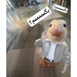 🙂 emoji DumbAss Duck🦆 Telegram sticker 23 of 51