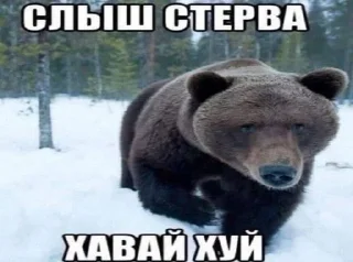 🌟 emoji хуйня какая то2 @idcvetkova Telegram sticker 1 of 120