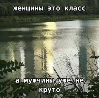 🌟 emoji хуйня какая то2 @idcvetkova Telegram sticker 7 of 120