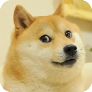 🐶 emoji kms Telegram sticker 15 of 25