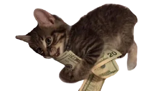 💸 emoji kms Telegram sticker 24 of 25