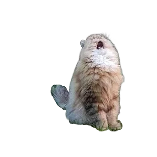 Sticker from kms
