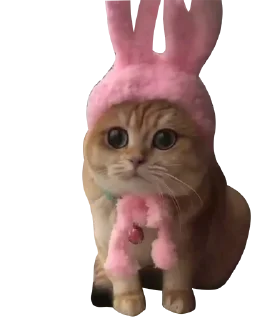 🧐 emoji Fed’s fav sticker Telegram sticker 23 of 24