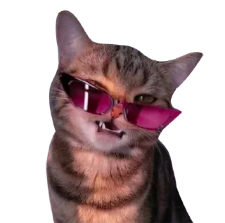 💅 emoji Fed’s fav sticker Telegram sticker 20 of 24