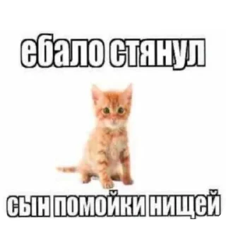 Sticker from Рил
