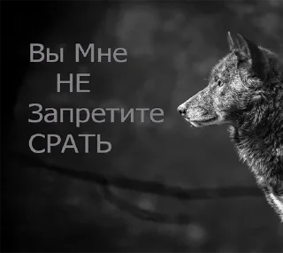 😤 emoji Волк волку волк @StickersPackRobot Telegram sticker 19 of 105