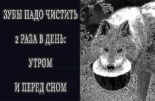 😁 emoji Волк волку волк @StickersPackRobot Telegram sticker 9 of 105