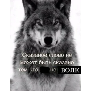 😡 emoji Волк волку волк @StickersPackRobot Telegram sticker 12 of 105
