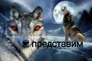 🤔 emoji Волк волку волк @StickersPackRobot Telegram sticker 18 of 105