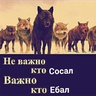 👊 emoji Волк волку волк @StickersPackRobot Telegram sticker 16 of 105