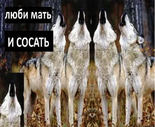 😮 emoji Волк волку волк @StickersPackRobot Telegram sticker 15 of 105
