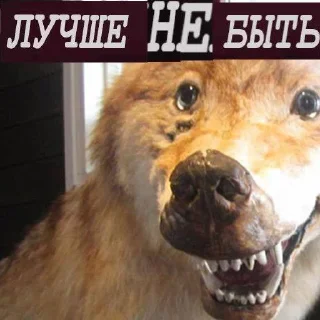 ❌ emoji Волк волку волк @StickersPackRobot Telegram sticker 7 of 105
