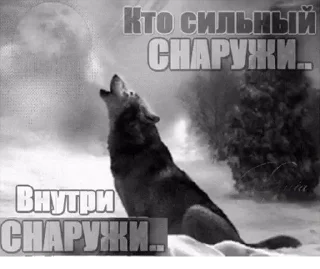 🙂 emoji Волк волку волк @StickersPackRobot Telegram sticker 20 of 105