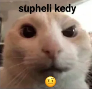 🤨 emoji @al1deburdanyak @AsenaUserBot Paketi 2 Telegram sticker 23 of 34