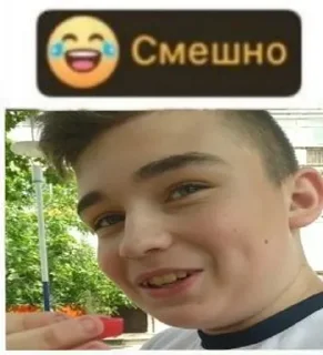 Sticker from Жмыхи