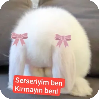 🐱 emoji Serseri Telegram sticker 15 of 77