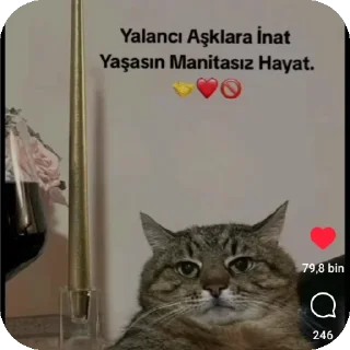 🐱 emoji Serseri Telegram sticker 21 of 77