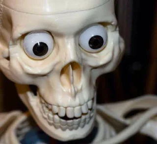 Sticker from Join The Skeleton Army, They Said