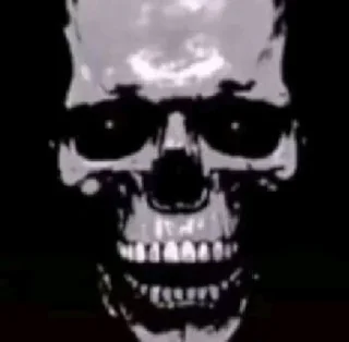 Sticker from Join The Skeleton Army, They Said