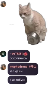 🧑‍🤝‍🧑 emoji легенды на месте Telegram sticker 3 of 61
